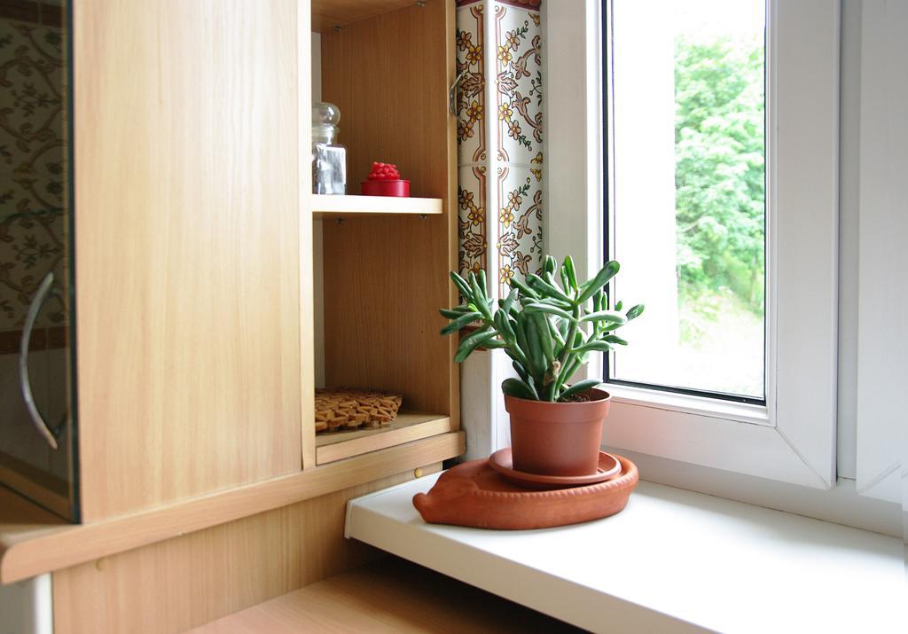 Apartament Sunny 索波特 外观 照片